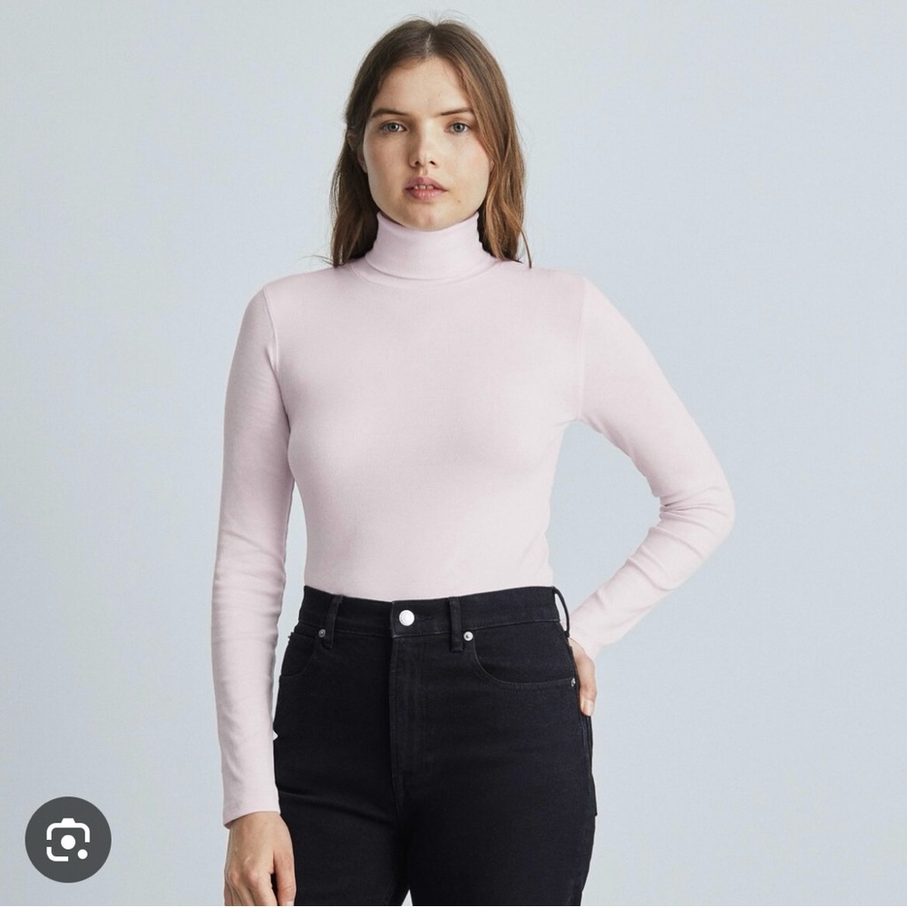 Everlane Pima Micro-Rib Turtleneck XS